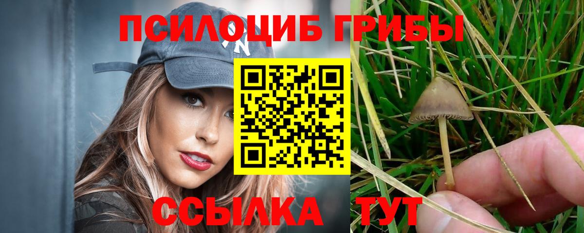 Галлюциногенные грибы мухоморы Можайск
